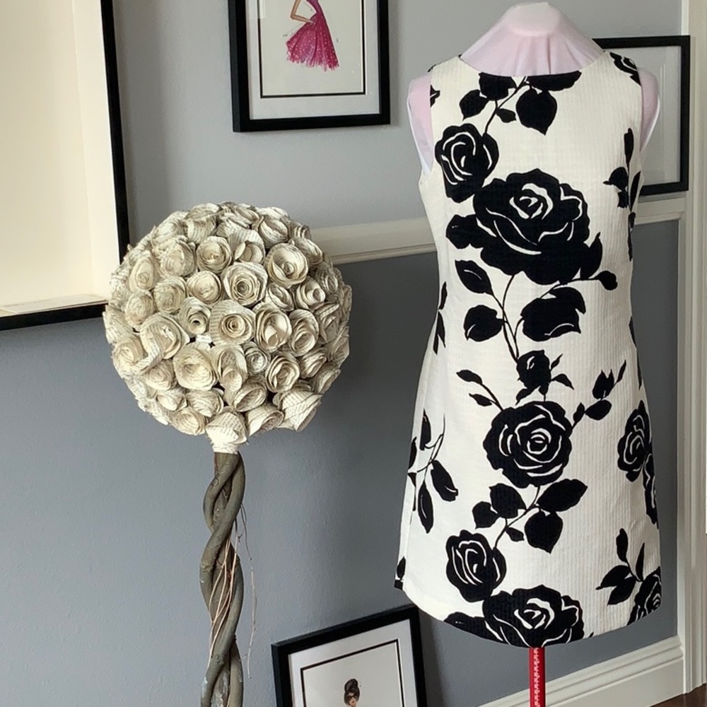 Black Rose print on white